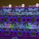 레인보우 뽑기샵 이미지