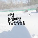 서울 근교 이천 청암관광농원 눈썰매장 후기 ! 어른이도 꿀잼으로 놀기 🔥