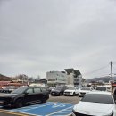 예산시장 | 백종원 예산시장 다녀온 후기｜주차·먹거리·사과파이까지 솔직 방문기