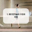 메디안디자인