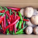 혜성농장 이미지