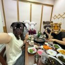 오영농장 이미지