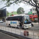 나트랑 여행 내돈내산 베나자 하프데이 투어 오후 버전 후기