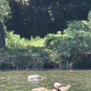 북면198 | 경기도 취사 가능 계곡 : 가평 호수유원지 자리, 평상 C 사용 후기