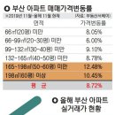 조운부동산중개사무소 이미지