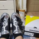 디스텔라