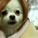 프린스실용음악학원 이미지