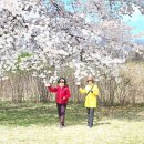 석촌공원길 이미지