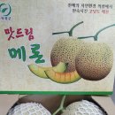 이미숙농장 이미지