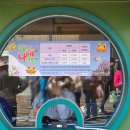 함평5일시장 | 함평나비대축제 입장료 할인 총정리! 주차·체험·먹거리 후기까지 한 번에