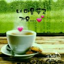 까꽁커피 Daum카페
