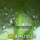 이복순농장 이미지