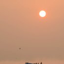 양항 Daum카페
