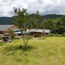 계림꽃농원 이미지