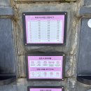 (주)신화푸드 아씨시 | 서울 근교 봄꽃 여행 - 파주 벽초지 수목원 튤립축제