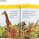 영어 그림책 탐험(3~4학년) | 초등 영어원서 추천 내셔널지오그래픽 키즈(NATIONAL GEOGRAPHIC KIDS) 2-3 단계 추천