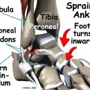 인천감초당한의원 이미지