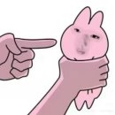 팝팝 이미지