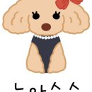 호두맘