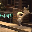 코리농장 이미지