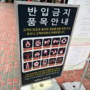 남서울농협종합시설 | 서울 경마장 초보 가이드 | 배팅방법 순서 주차꿀팁 도파민 후기까지