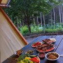 평화레저타운 이미지