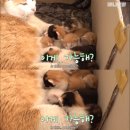 마더농장 이미지