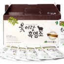 법인보양