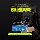 완도대성병원 | 완도 완도읍 동물약국 하나로약국, 강아지약살땐 하나로약국!