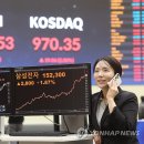 4950 연합뉴스