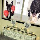 파주힐링몽 이미지