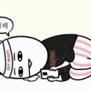 럭셔리포토 이미지