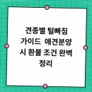 멍샵 강아지분양 인천본점 | 멍샵 강아지분양 인천본점에서 만난 첫 만남의 설렘이 머무는 공간^^!