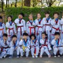 오창월드태권도 이미지