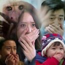 뚱배