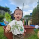 🌜달님반🌛아이스크림 가게를 열어요🍦🍨 이미지