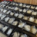 정인메디칼 이미지