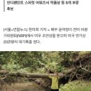 '미나리' 윤여정, 전미 비평가위원회 여우조연상…20관왕 기록(종합) 이미지