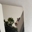 제주인쇄 | W6-1. 제주 웨딩촬영 앨범 후기( 셀렉, 추가금｜라이즈무드 )