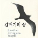갈매기의 꿈 이미지