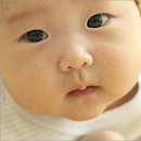 선명 이미지
