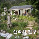 [영월펜션] 산속의친구 교육농장 - 개구리 소리에 잠을 깨다 이미지