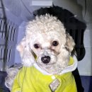 하당동행정복지센터 이미지