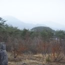 하죽 이미지