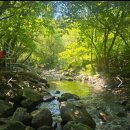 덕동민박 이미지