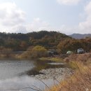 율치제 네이버블로그