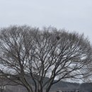 야곡마을회관 이미지