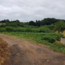 장고항1리마을회관 이미지