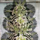 진안읍 1357 이미지