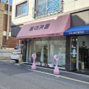 초록어린이집 | [대전] 롱이카롱 / 어른들 선물로 추천하는 괴정동 카네이션 바람떡 맛집 (주차 가능)